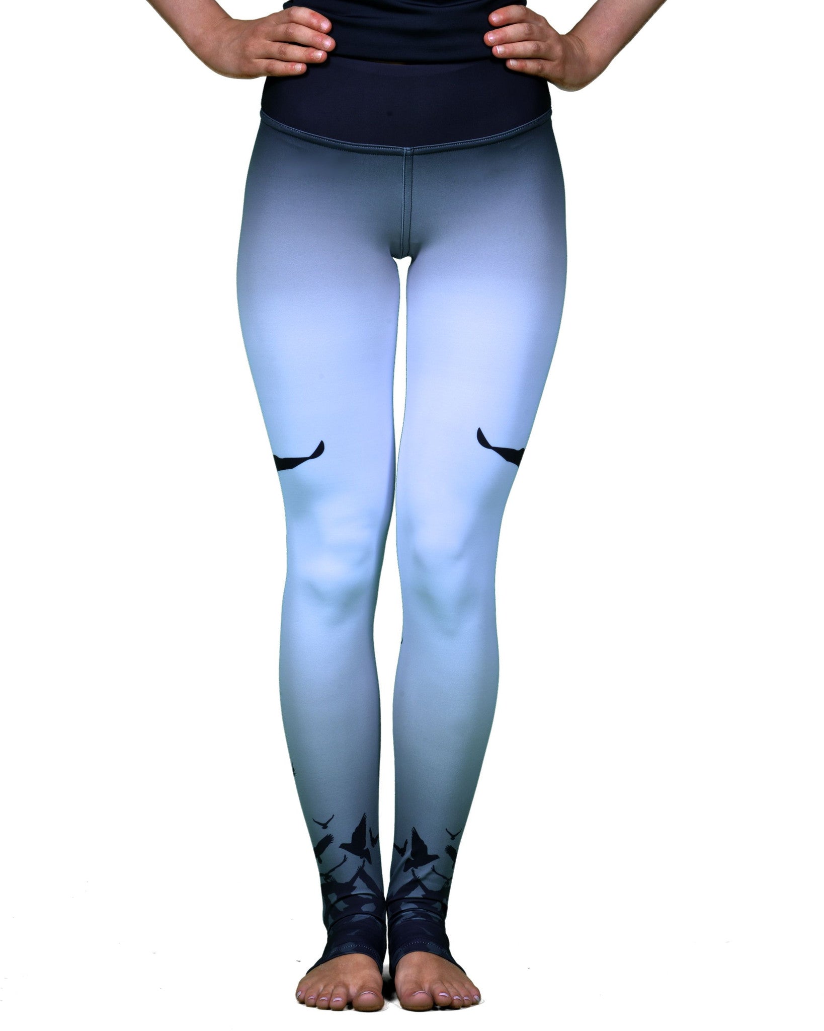 Nike pro clearance ombre leggings